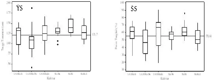 Gambar 1.  Analisis boxplot daya gabung. A = tinggi tanaman, B = posisi tongkol.Semakin kecil  nilai KKg  semakin homogen  data  yang
