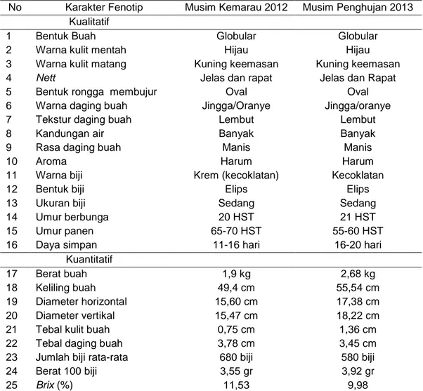 Tabel 1. Karakter Fenotip MG3 di Musim Kemarau dan Musim Penghujan  No  Karakter Fenotip  Musim Kemarau 2012  Musim Penghujan 2013 