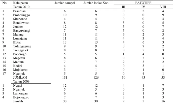 Tabel 4. Komposisi patotipe bakteri Xanthomonas oryzae pv. oryzae  penyebab penyakit HDB di beberapa  daerah di Propinsi Jawa Timur, MT 2010 dan MT 2009 