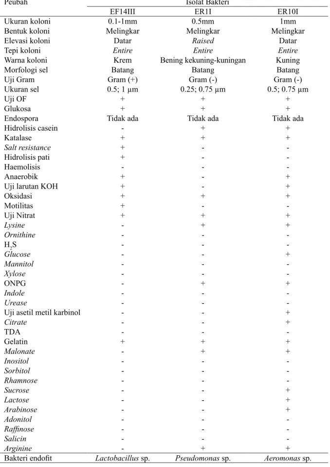 Tabel 4 Karakterisasi morfologi, fisologi dan biokimia bakteri endofit