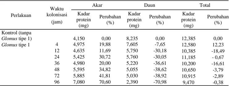 Tabel 2. Kadar protein dan perubahannya pada akar dan daun tanaman pisang kepok setelah aplikasi Glomus tipe 1