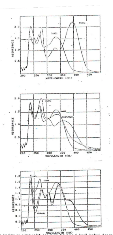 Gambar  2.  (a)  Spektrum  ultraviolet  senyawa  flavonoid  hasil  isolasi  dengan  pereaksi  geser  NaOMe  (b)  Spektrum  ultraviolet  senyawa  flavonoid  hasil  isolasi  dengan  pereaksi  geser  NaOAc/H 3 BO 3   (c)  Spektrum  ultraviolet  senyawa 