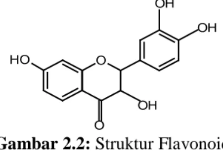 Gambar 2.2: Struktur Flavonoid 