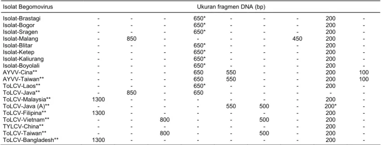 Tabel 1.  Ukuran fragmen DNA yang dihasilkan dari pemotongan produk PCR dari 8 isolat Begomovirus asal tomat dan prediksi RFLP isolat-