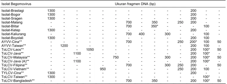 Tabel 3.  Ukuran fragmen DNA yang dihasilkan dari pemotongan produk PCR dari 8 isolat Begomovirus asal tomat dan prediksi RFLP isolat-