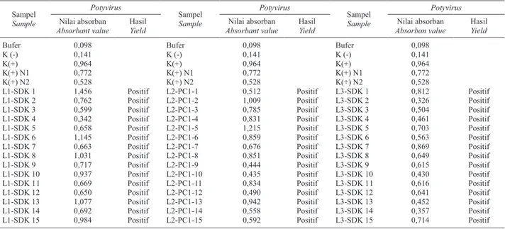 Tabel 1. Deteksi virus mosaik  (Potyvirus)  pada sampel benih nilam yang berasal dari Cigombong Table 1