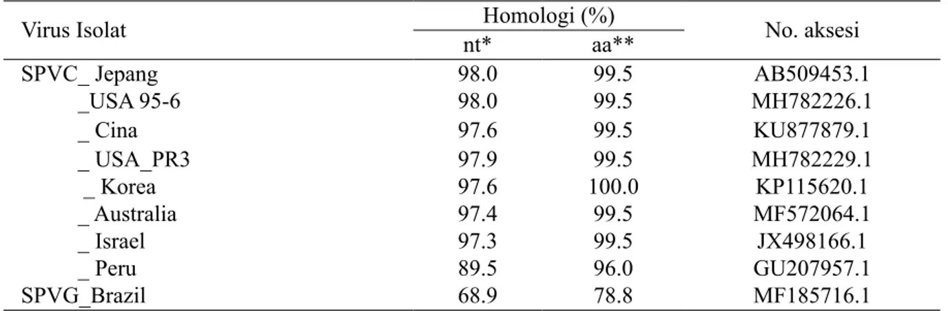 Tabel 3  Hasil perunutan basa nukleotida dan asam amino Sweet potato virus C isolat Malang terhadap  isolat dari negara lainnya 