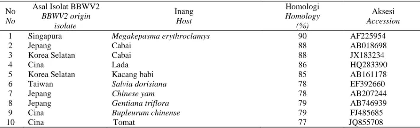 Figure   2.  Visualization result of PCR with primers BBWVSSP and BBWVKMRM on 1.5 % agarose gel: M