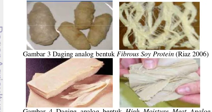 Gambar 3 Daging analog bentuk    Fibrous Soy Protein 