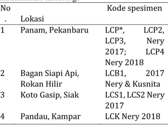 Tabel 1. Sampel Lycopodiella cenua untuk  karakterisasi morfologi  No .  Lokasi   Kode spesimen  1  Panam, Pekanbaru  LCP*,  LCP2,  LCP3,  Nery  2017;  LCP4  Nery 2018  2  Bagan Siapi Api, 