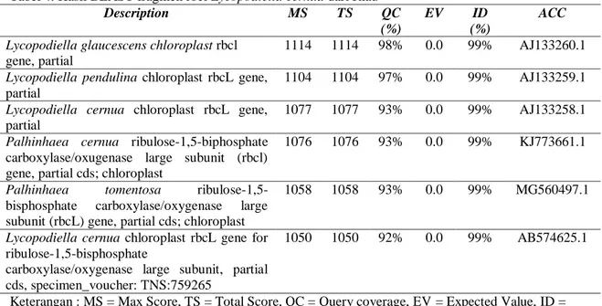 Tabel 4. Hasil BLAST fragmen rbcl Lycopodiella cernua dari Riau 