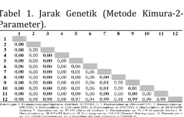 Tabel  1.  Jarak  Genetik  (Metode  Kimura-2- Kimura-2-Parameter).  