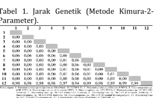 Tabel  1.  Jarak  Genetik  (Metode  Kimura-2- Kimura-2-Parameter).  