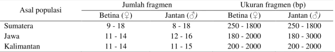 Tabel 2. Jumlah dan ukuran fragmen DNA (OPA 08, OPA 09, dan OPC 02) ikan tengadak jantan dan be- be-tina asal Sumatera, Jawa, dan Kalimantan 