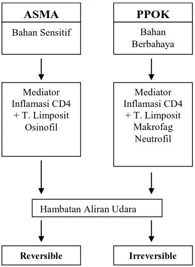 Gambar 2.2. Perbedaan Patogenesis Asma dan PPOK (PDPI 2003) 