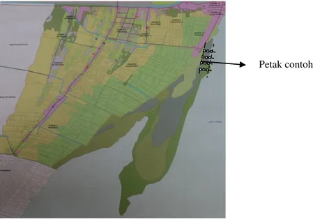 Gambar 2.  Peta lokasi penelitian dan peletakan petak-petak contoh pada peta. 