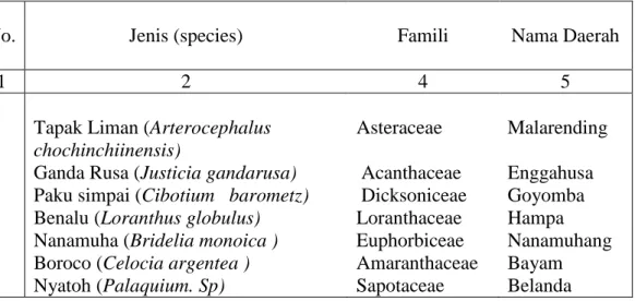 Tabel .1. Jenis-jenis Tumbuhan Alam Berkhasiat Obat di Kawasan Hutan Lindung                 Sahendaruman 