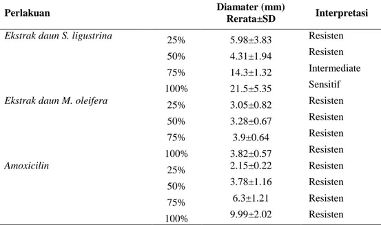 Tabel  2.  Interpertasi  kepekaan  S.  aureus  terhadap  Ekstrak  etanol  daun  S.  ligustrina,  Ekstrak  etanol  daun M