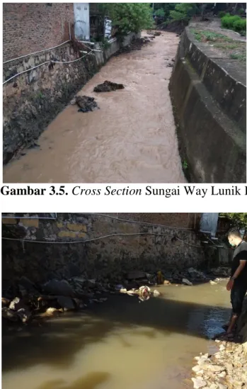 Gambar 3.5. Cross Section Sungai Way Lunik I 