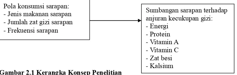 Gambar 2.1 Kerangka Konsep Penelitian 