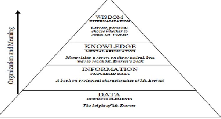 Gambar 5 BigData Maslow Pyramid   2.4.2 Pengertian DBMS(Database Management System) 