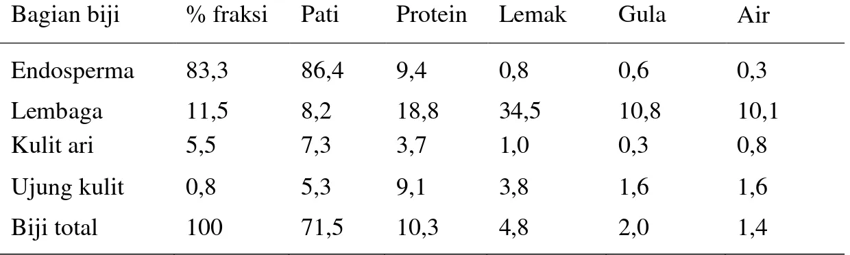 Tabel 1. Komposisi kimia biji jagung pada berbagai fraksi (% berat kering)  Bagian biji  % fraksi  Pati  Protein  Lemak  Gula  Air 