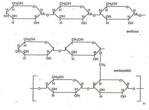 Gambar 2. Molekul amilosa dan amilopektin 