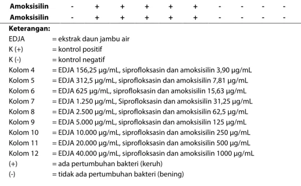 Gambar 2. Hasil pengujian KBM ekstrak etanol daun jambu air, (A) S. aureus, (B) E. coli, (10A, B, C) EDJA  10.000 µg/mL, (11A, B, C) EDJA 20.000 µg/mL, (12A, B, C) EDJA 40.000 µg/Ml