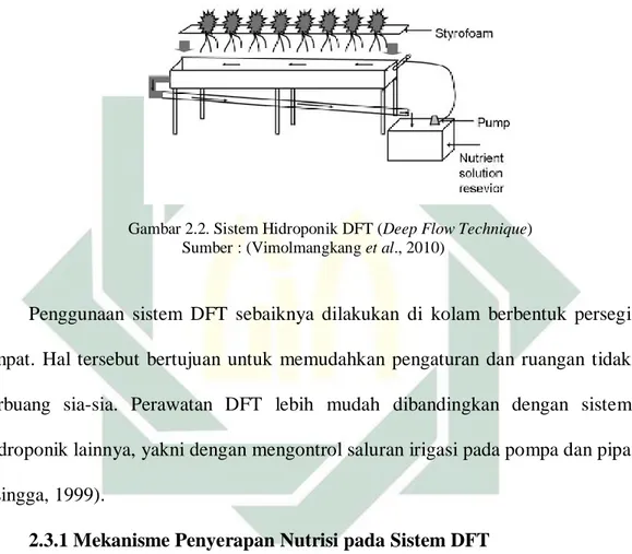 Gambar 2.2. Sistem Hidroponik DFT (Deep Flow Technique)  Sumber : (Vimolmangkang et al., 2010) 