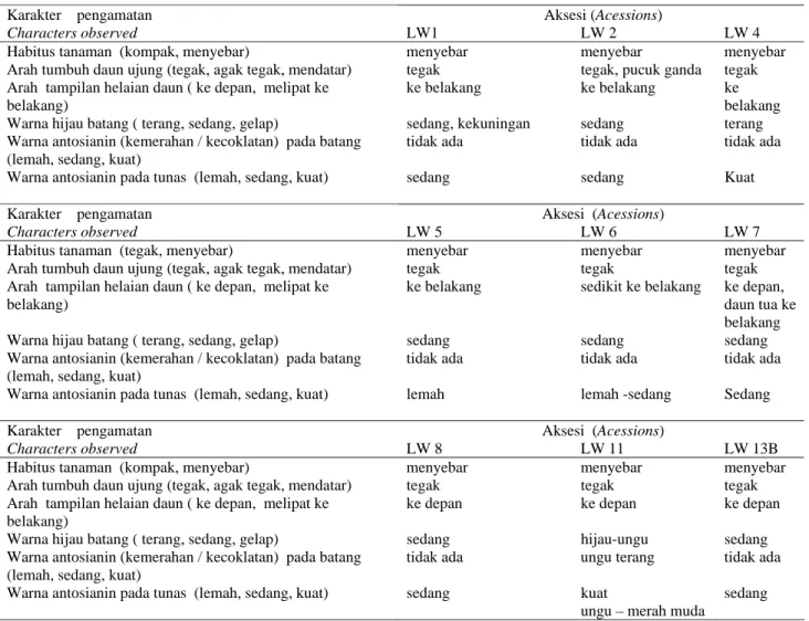 Tabel 1.  Karakter kualitatif tanaman lempuyang   Table 1.  Qualitative characters of wild ginger 