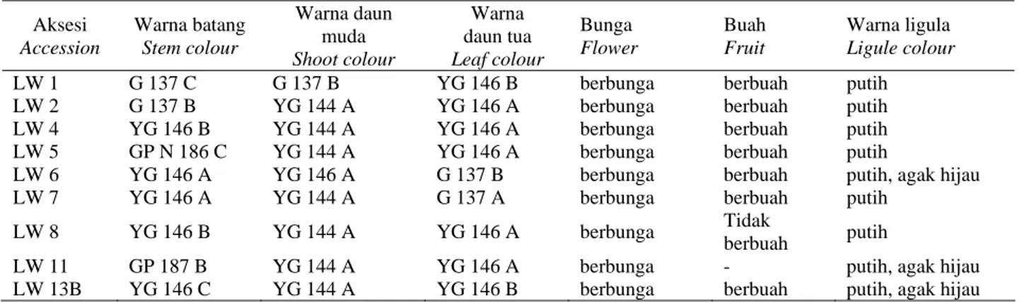 Tabel 2.   Warna daun dan batang serta pembungaan lempuyang wangi  Table 2.   Leaf and stem colour  and flowering of wild ginger 