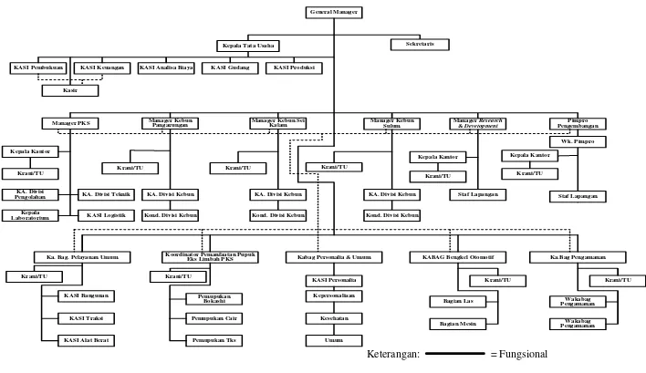 Gambar 2.1. Struktur Organisasi PT. Asam Jawa