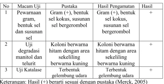 Tabel 4.1 Hasil Identifikasi Kualitatif Bakteri Staphylococcus aureus