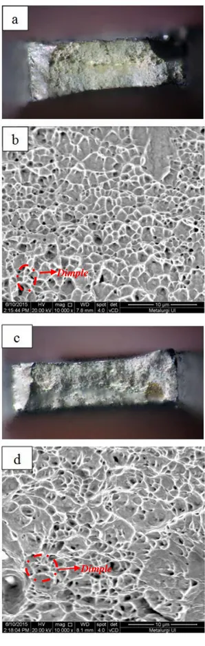 Gambar 10. Foto SEM penampang  patahan  benda uji tarik paduan Cu-Zn 70/30  setelah homogenisasi pada suhu 700 o C selama 