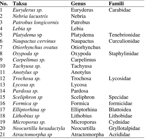 Tabel 1. Jenis Arthropoda yang ditemukan Pada Lahan Pertanian Tumpangsari  Di Kabupaten Bumiaji Kota Batu 