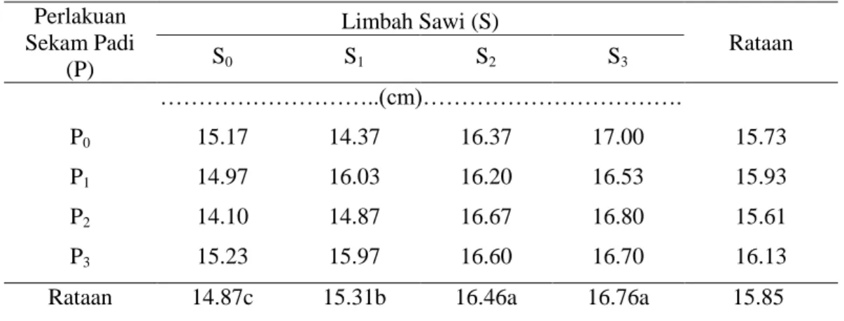 Tabel  2.  Tinggi  Tunas  Setek  Tanaman  Nilam  Umur  8  MST  Dengan Pemberian    POC  Limbah Sawi dan Abu Sekam Padi 