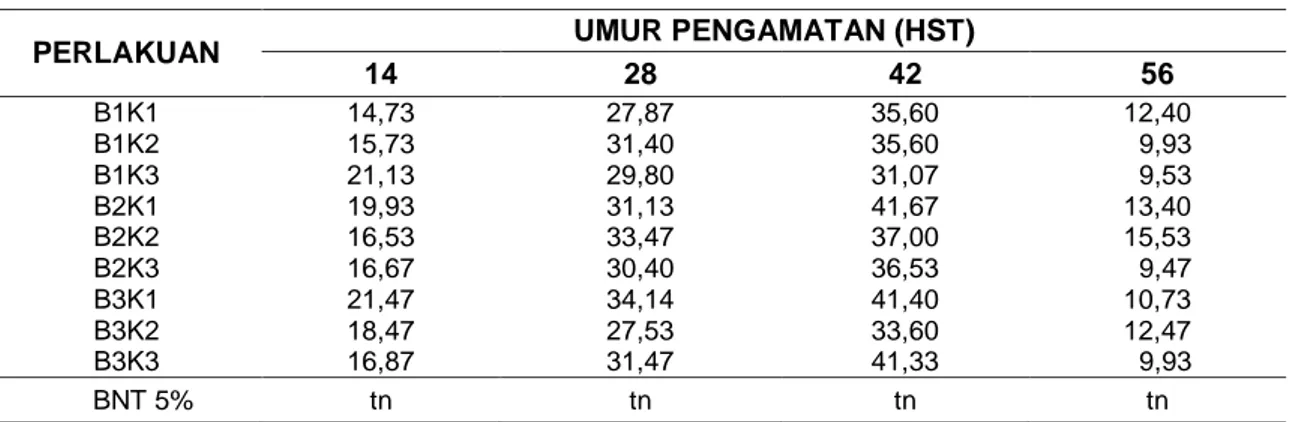 Tabel 2 Rerata Jumlah Daun (helai) per Rumpun pada Umur 14 hst sampai 56 hst 