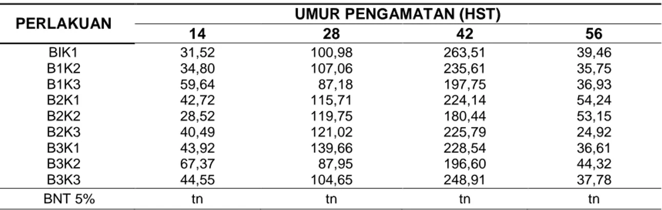 Tabel 4 Rerata Luas Daun per Rumpun pada Umur 14 hst sampai 56 hst 