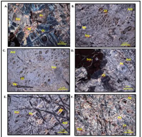 Gambar 2. Fotomikrografi batuan peridotit jenis harsburgit ((A. Kode bor A1), (B. Kode bor A2),  (C