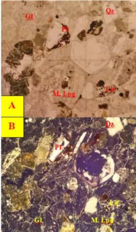 Gambar  2.  Sayatan  tipis  sampel  dari  satuan  batupasir,  tersusun  dari  kuarsa  (Qz),  plagioklas  (Pl), litik (Lit), gelas (Gl), dan mineral lempung  (M.Lpg)  yang  diinterpretasikan  sebagai  hasil  ubahan dari gelas vulkanik