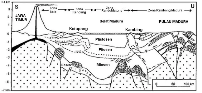 Gambar 4. Penampang Cekungan Jawa Timur  [9] . 