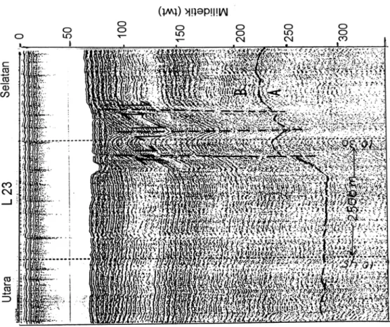 Gambar 6. Rekaman seismik dan penafsiran di lintasan L23