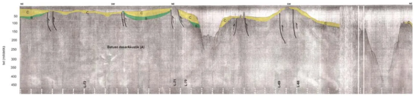 Gambar 3.  Hasil penafsiran struktur sesar naik pada penampang seismik L-68, L-69, L-70, L-71dan L-72 di perairan teluk Ciletuh