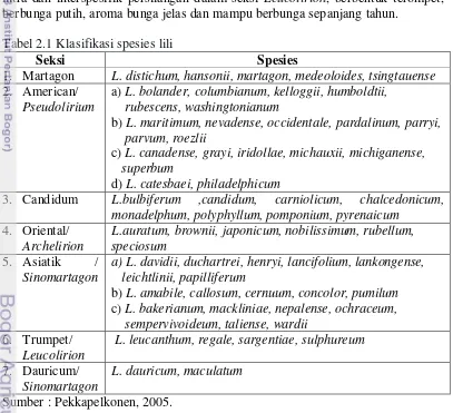 Tabel 2.1 Klasifikasi spesies lili   