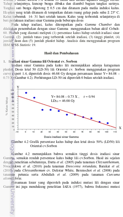 Gambar 4.2 Grafik persentase kalus hidup dan letal dosis 50% (LD50) lili   