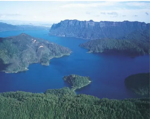 Figure 9. Image of Lake Waikaremoana in the Urewera National Park 