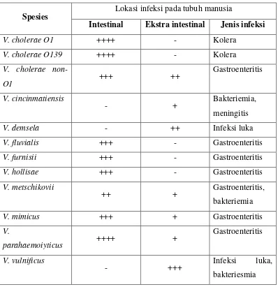 Tabel 2.1 Spesies Vibrio dan lokasi kuman menyebabkan infeksi 