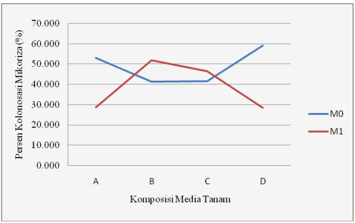 Tabel 6. Rataan pengaruh komposisi media tumbuh kompos TKKS dan pemberian mikoriza terhadap persen kolonisasi mikoriza (%) 