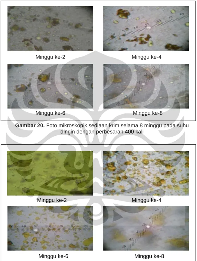 Gambar 20. Foto mikroskopik sediaan krim selama 8 minggu pada suhu  dingin dengan perbesaran 400 kali 