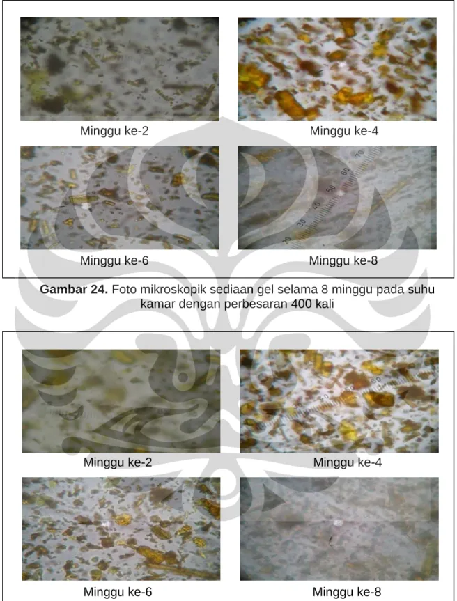 Gambar 24. Foto mikroskopik sediaan gel selama 8 minggu pada suhu  kamar dengan perbesaran 400 kali 